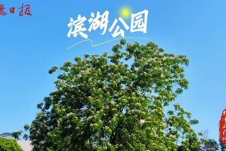 【武陵區(qū)】“綠寶石”濱湖公園