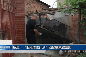 桃源：“陽光增收計劃”助殘鋪就致富路