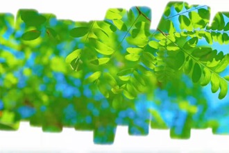 常德市六五宣傳片來了！讓我們一起“向綠而行”