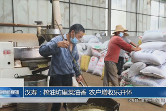 漢壽：榨油坊里菜油香 農(nóng)戶(hù)增收樂(lè)開(kāi)懷