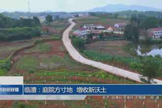 臨澧：庭院方寸地 增收新沃土