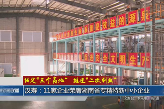 漢壽：11家企業(yè)榮膺湖南省專(zhuān)精特新中小企業(yè)
