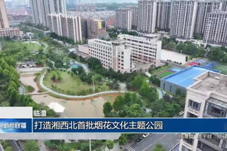 臨澧：打造湘西北首批煙花文化主題公園