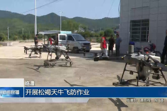 臨澧：開展松褐天牛飛防作業(yè)