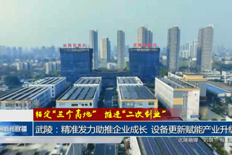 武陵：精準(zhǔn)發(fā)力助推企業(yè)成長(zhǎng) 設(shè)備更新賦能產(chǎn)業(yè)升級(jí)
