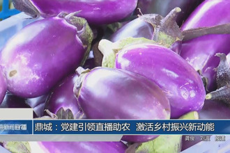 鼎城：黨建引領(lǐng)直播助農(nóng) 激活鄉(xiāng)村振興新動能