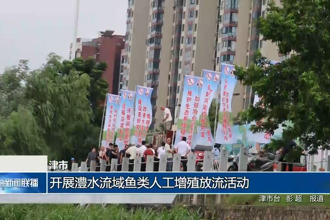 津市：開展澧水流域魚類人工增殖放流活動