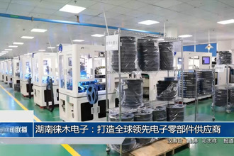 湖南徠木電子：打造全球領(lǐng)先電子零部件供應(yīng)商