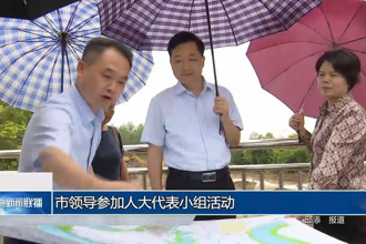 市領(lǐng)導(dǎo)參加人大代表小組活動