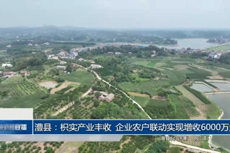 澧縣：枳實產(chǎn)業(yè)豐收 企業(yè)農(nóng)戶聯(lián)動實現(xiàn)增收6000萬元