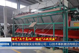 津市金湘豬鬃實(shí)業(yè)有限公司：以技術(shù)革新激活傳統(tǒng)企業(yè)