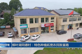 柳葉湖同德村：特色種植拓寬農(nóng)民致富路