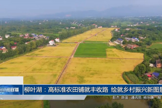 柳葉湖：高標(biāo)準(zhǔn)農(nóng)田鋪就豐收路 繪就鄉(xiāng)村振興新圖景