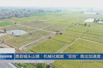澧縣城頭山鎮(zhèn)：機(jī)械化賦能“雙搶”跑出加速度
