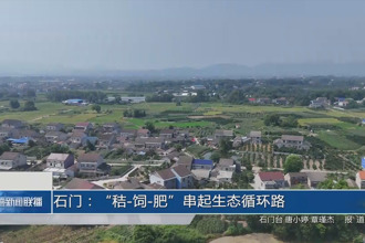 石門：“秸-飼-肥”串起生態(tài)循環(huán)路