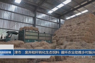 津市：廢棄秸稈轉(zhuǎn)化生態(tài)飼料 循環(huán)農(nóng)業(yè)助推鄉(xiāng)村振興