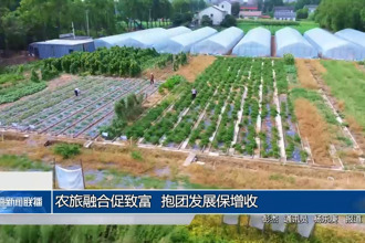 農(nóng)旅融合促致富 抱團(tuán)發(fā)展保增收