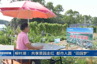 柳葉湖： 共享菜園走紅 都市人圓“田園夢(mèng)”