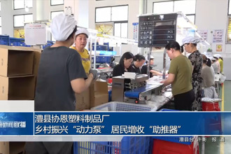 澧縣協(xié)恩塑料制品廠：鄉(xiāng)村振興“動力泵” 居民增收“助推器”