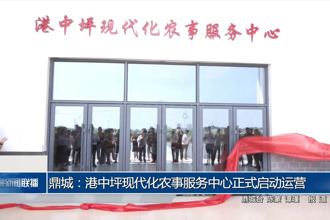 鼎城：港中坪現(xiàn)代化農事服務中心正式啟動運營
