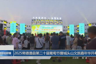 2025常德澧縣第二十屆葡萄節(jié)暨城頭山文旅嘉年華開幕