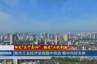 錨定“三個高地”推進(jìn)“二次創(chuàng)業(yè)”(8月2日)