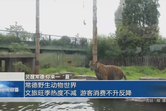 常德野生動(dòng)物世界：文旅旺季熱度不減 游客消費(fèi)“不升反降”