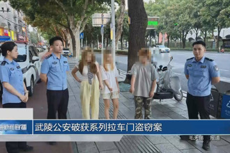 武陵公安破獲系列拉車門盜竊案