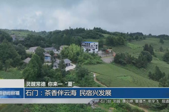 石門：茶香伴云海 民宿興發(fā)展
