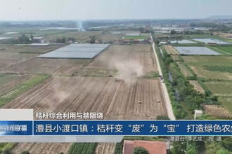 澧縣小渡口鎮(zhèn)：秸稈變“廢”為“寶” 打造綠色農(nóng)業(yè)