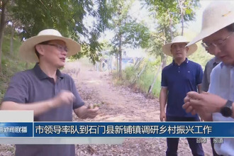 市領(lǐng)導率隊到石門縣新鋪鎮(zhèn)調(diào)研鄉(xiāng)村振興工作