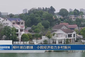 靈醒常德 你來“一夏”(8月9日)