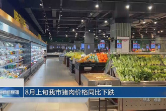 8月上旬常德豬肉價(jià)格同比下跌