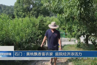 石門：黃桃飄香富農(nóng)家 庭院經(jīng)濟添活力