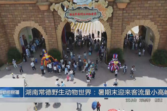湖南常德野生動物世界：暑期末迎來客流量小高峰