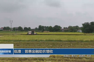 臨澧：普惠金融助農(nóng)增收