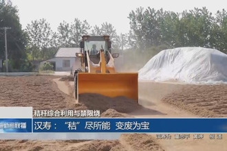 漢壽：秸”盡所能 變廢為寶