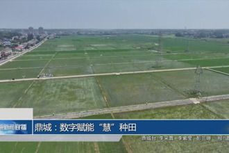 鼎城：數(shù)字賦能“慧”種田