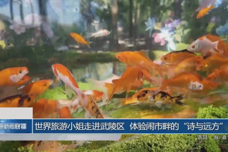 世界旅游小姐走進武陵區(qū) 體驗鬧市畔的“詩與遠方”