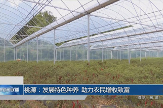 桃源：發(fā)展特色種養(yǎng) 助力農民增收致富
