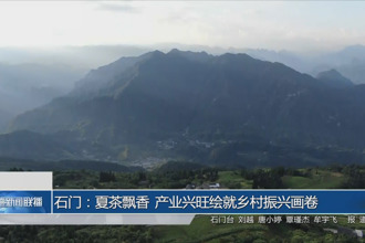 石門：夏茶飄香 產業(yè)興旺繪就鄉(xiāng)村振興畫卷