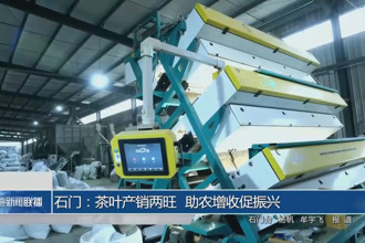 石門：茶葉產(chǎn)銷兩旺 助農(nóng)增收促振興