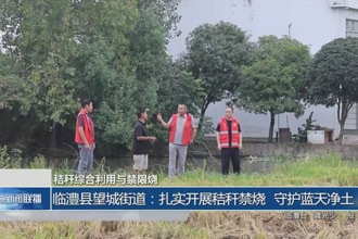 臨澧縣望城街道：扎實(shí)開展秸稈禁燒 守護(hù)藍(lán)天凈土