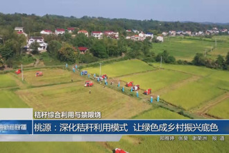 桃源：深化秸稈利用模式 讓綠色成鄉(xiāng)村振興底色