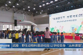 武陵：野生動物科普進(jìn)校園 讓學(xué)校變身“叢林課堂”