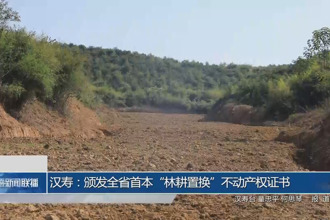 漢壽：頒發(fā)全省首本“林耕置換”不動產(chǎn)權(quán)證書