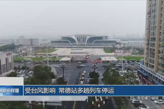 武陵：二次滅茬粉碎還田 讓秸稈“變廢為寶”