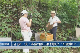 石門夾山鎮(zhèn)：小蜜蜂釀出鄉(xiāng)村振興“甜蜜事業(yè)”