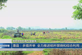 澧縣：多措并舉 全力推進(jìn)秸稈禁燒和綜合利用