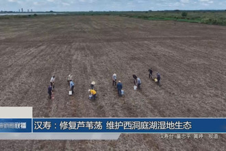 漢壽：修復蘆葦蕩 維護西洞庭湖濕地生態(tài)